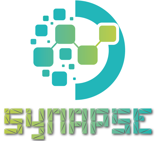 SYNAPSE GLOBAL TRADE